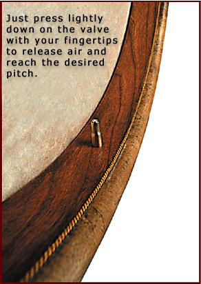 valve